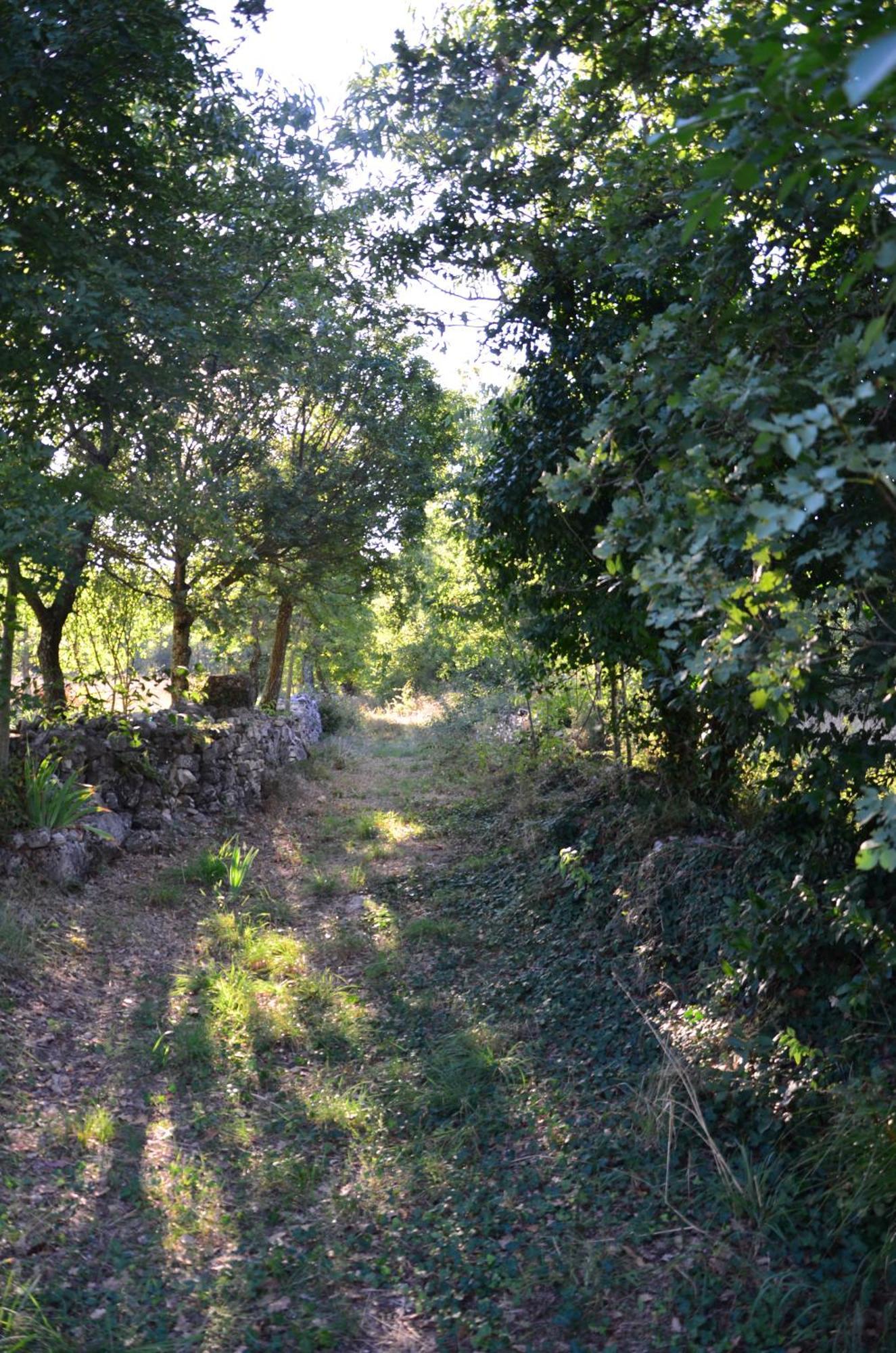 Villa Leopoldo By Istrian Country Houses Barat  ภายนอก รูปภาพ
