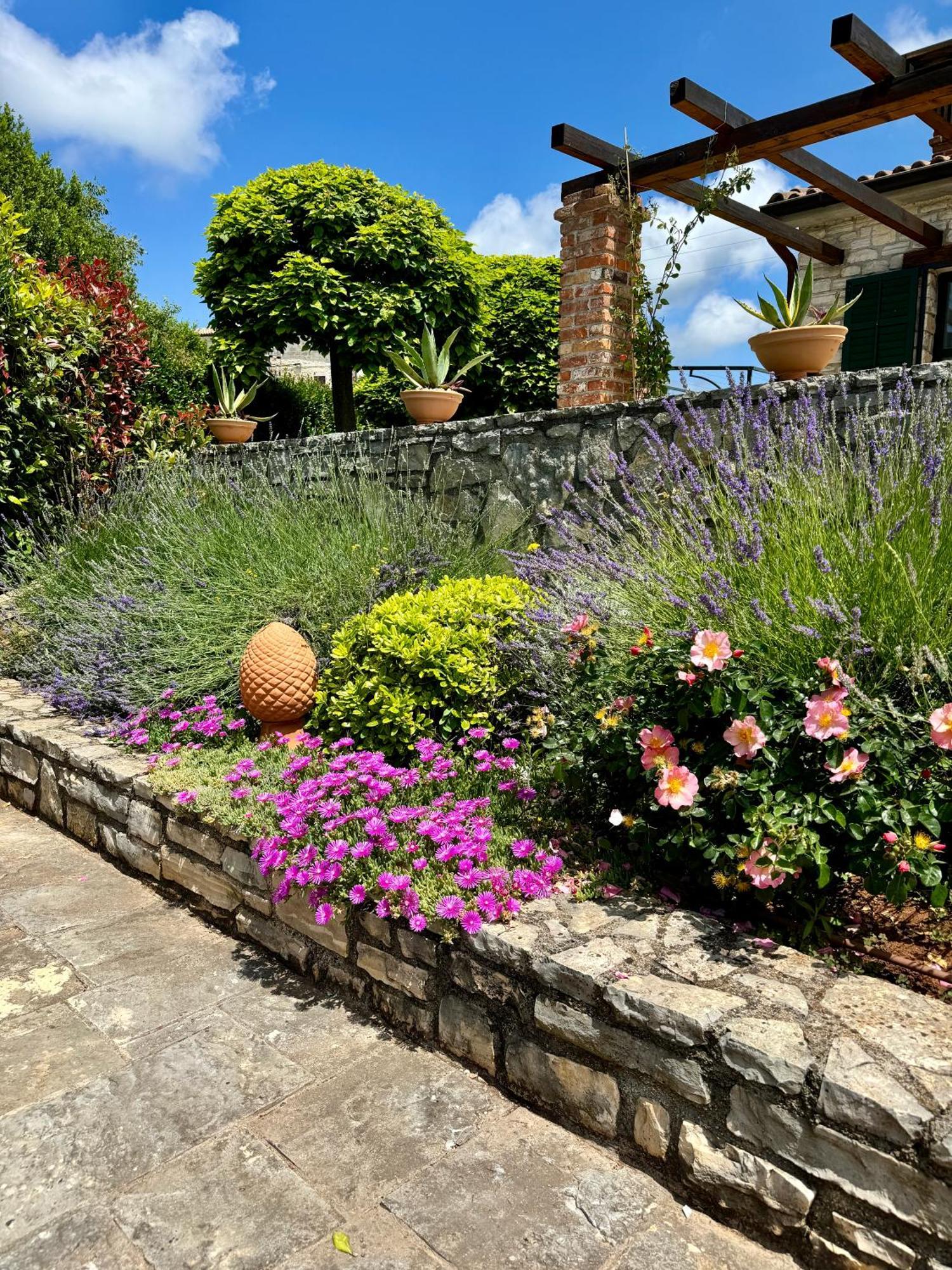 Villa Leopoldo By Istrian Country Houses Barat  ภายนอก รูปภาพ